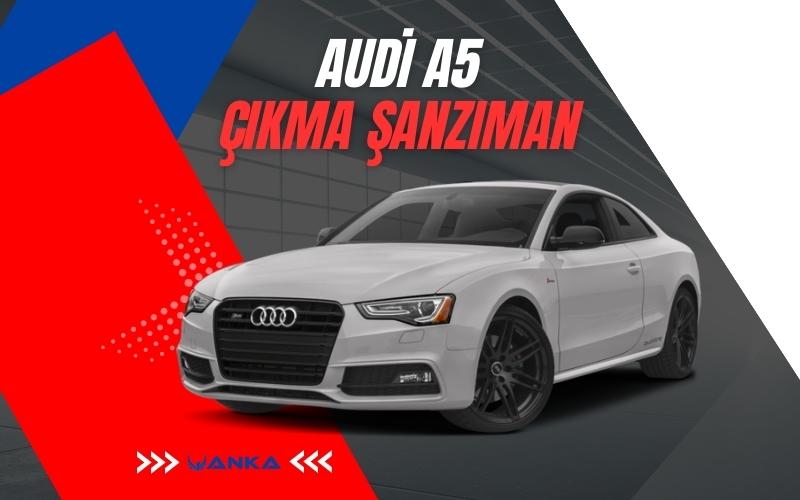 Audi A5 Çıkma Şanzıman