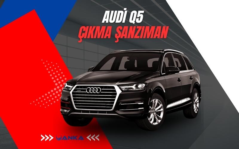 Audi Q5 Çıkma Şanzıman