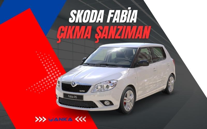 Skoda Fabia Çıkma Şanzıman