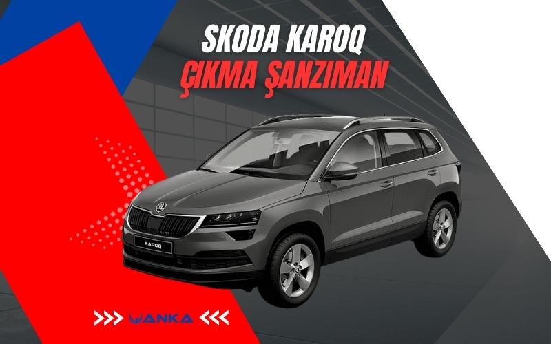 Skoda Karoq Çıkma Şanzıman