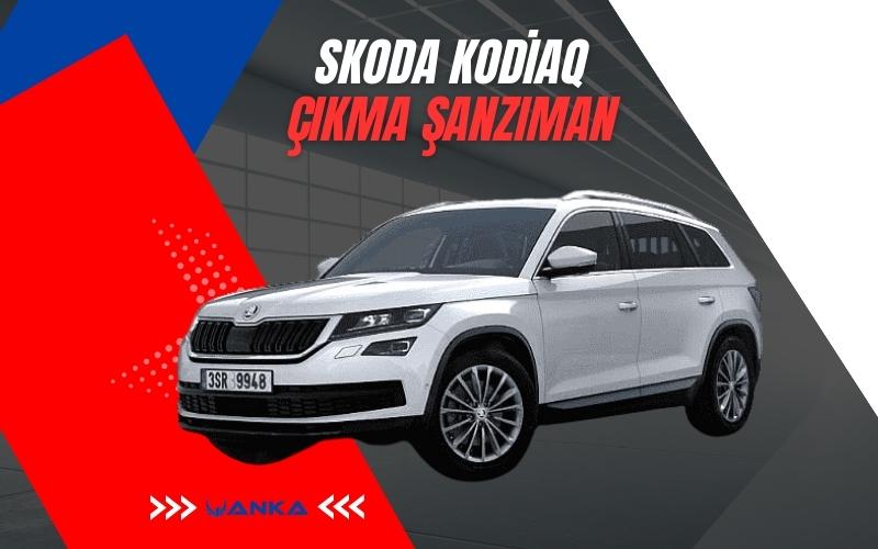 Skoda Kodiaq Çıkma Şanzıman